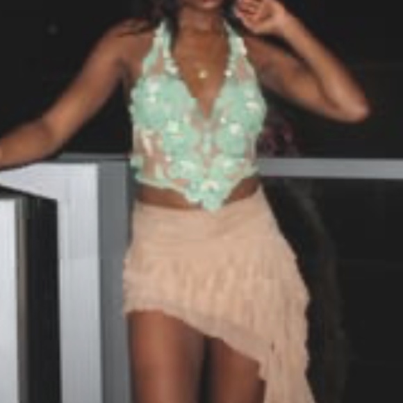 Ema Savahl Sheer Ruffle Skirt Nude - Picture 6 of 7